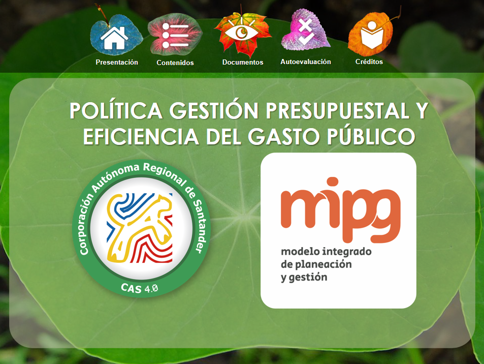 Miniatura del proyecto Corporación Autónoma Regional de Santander CAS