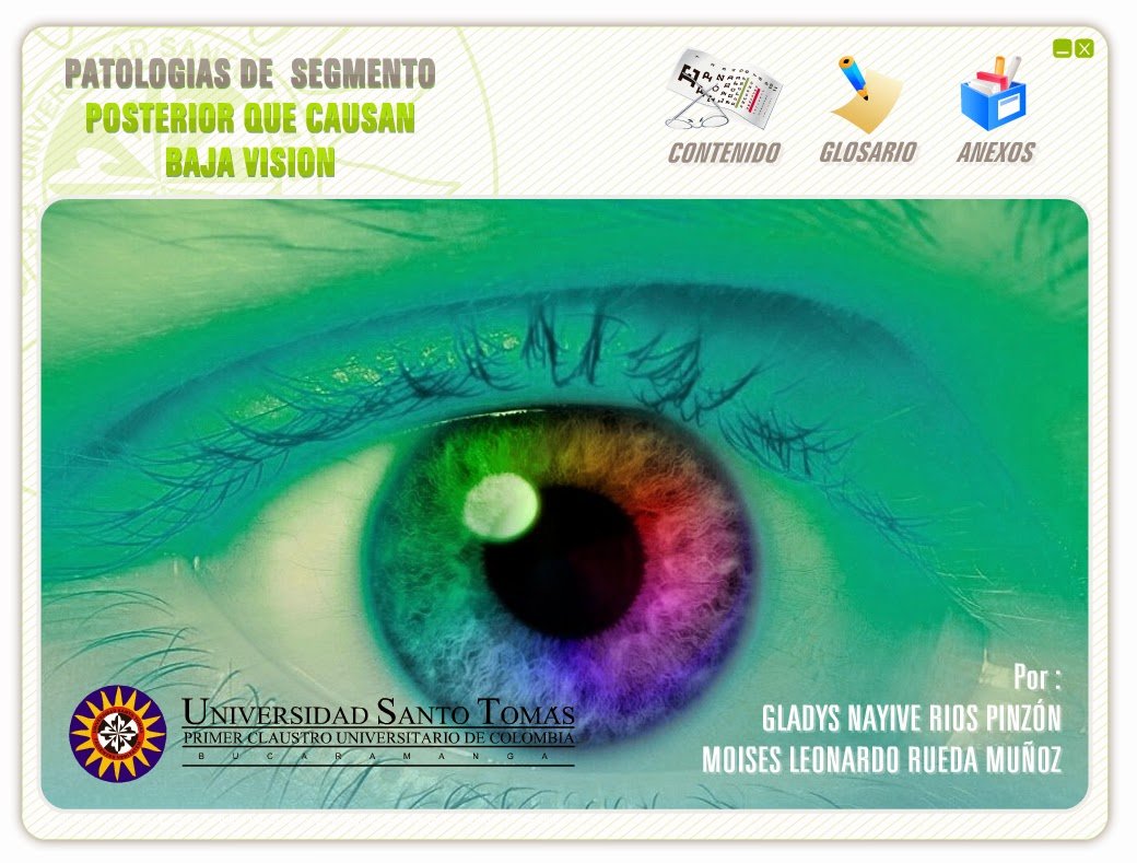 Miniatura del proyecto Universidad Santo Tomás Bucaramanga